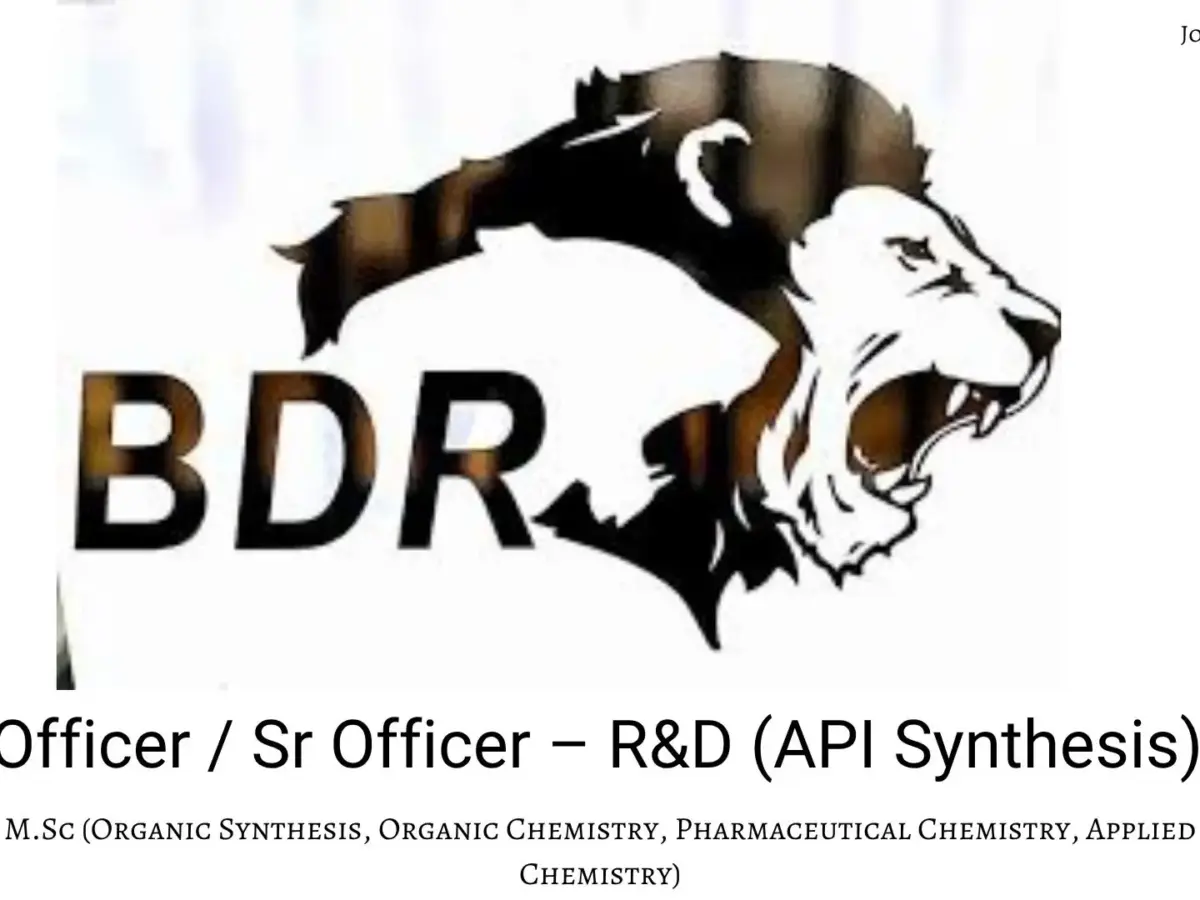 BDR Pharmaceutical International Pvt Ltd